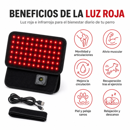 Cinturón de Luz Roja para Perros